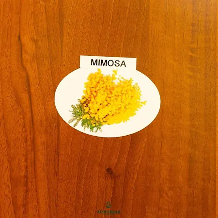 I Portici - Oda ve Kahvaltı 3*