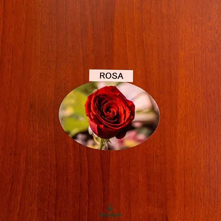I Portici - Oda ve Kahvaltı 3*